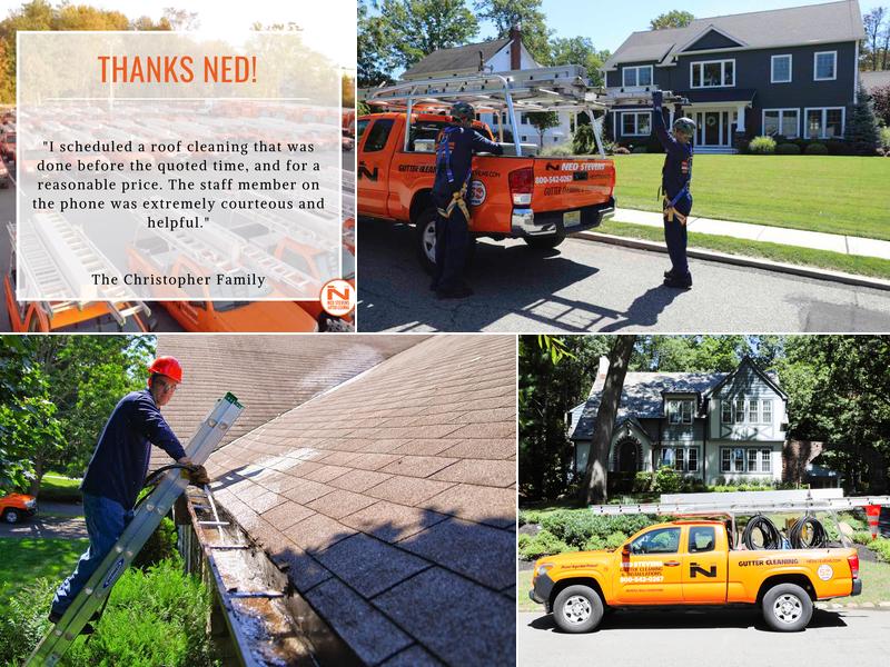 Ned Stevens Gutter Cleaning