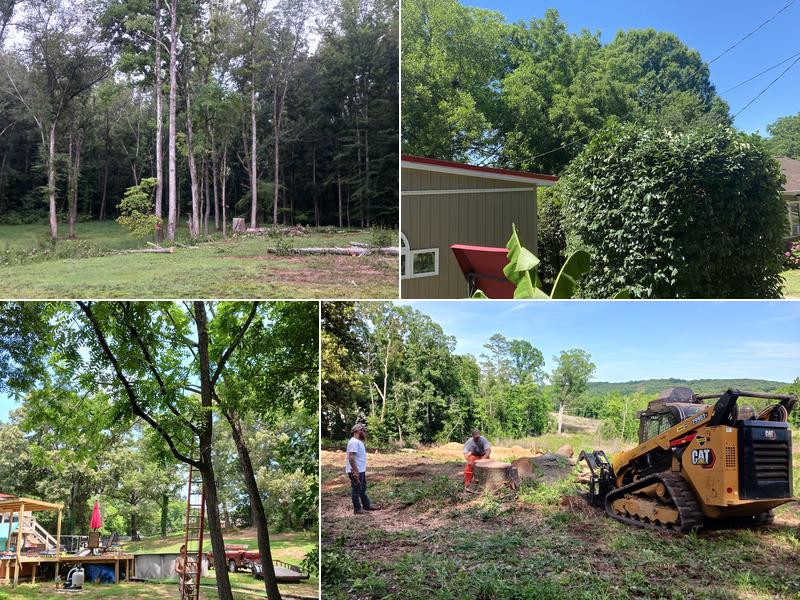 Ricker's Tree Service