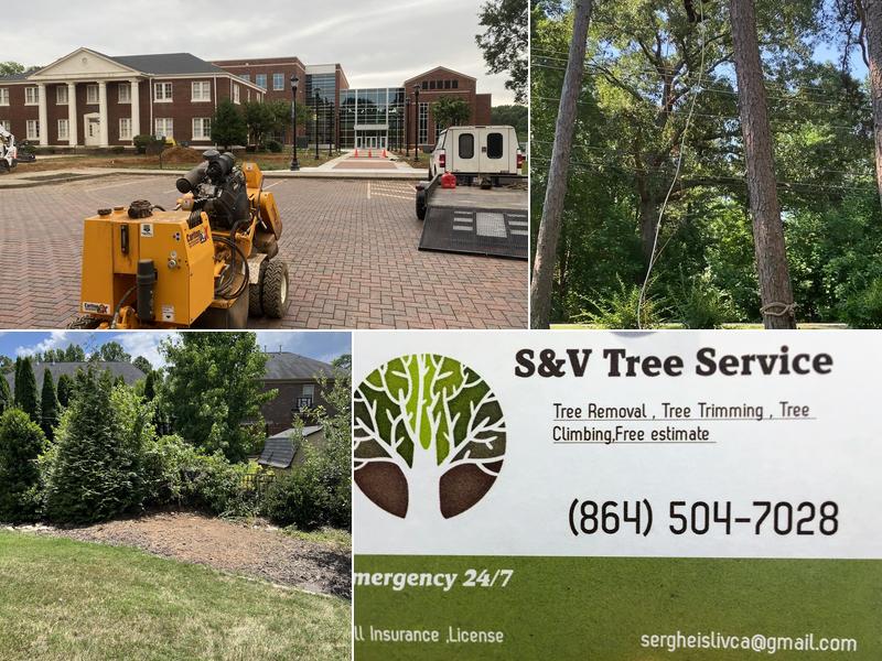 S&V Tree Service LLC