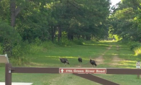 No-Prints Cleaning Service 133 Willie Ln, Cowpens South Carolina 29330