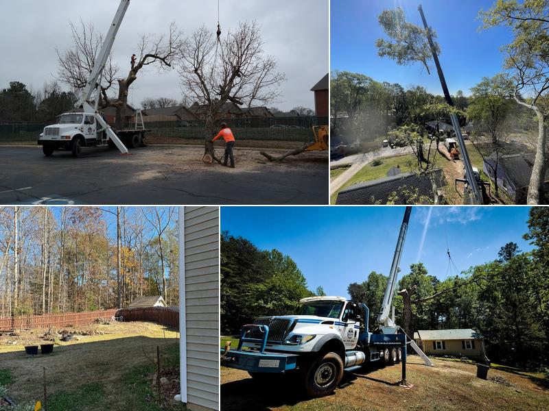 Warrior Tree Service LLC