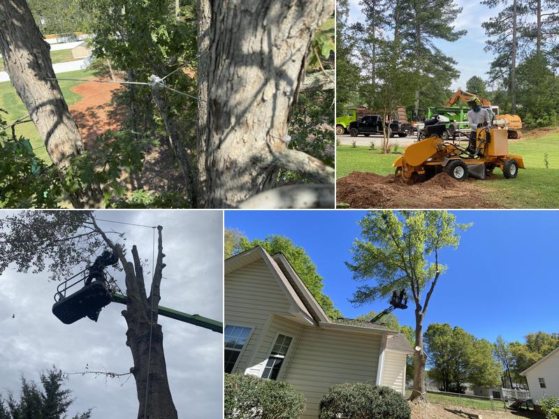 A-Z Tree Service, LLC
