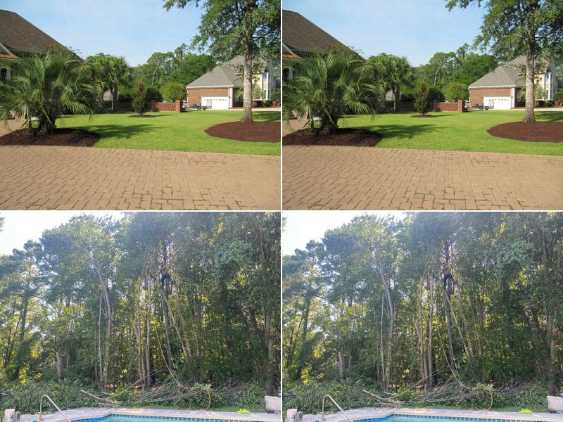 Blade Runner Lawn Services