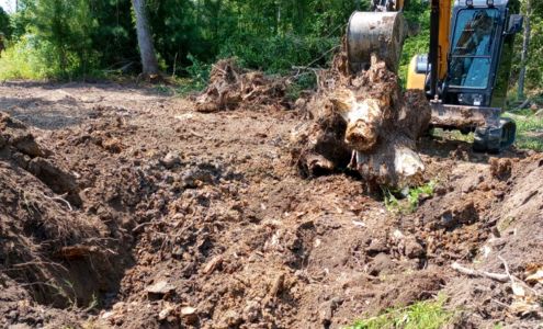 Grahamscapes Land Management LLC 805 Audie Rd, Loris South Carolina 29569