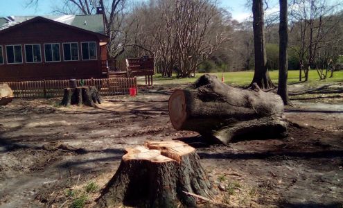 Chad's Tree Service, LLC 104 Beaver Ln, Townville South Carolina 29689