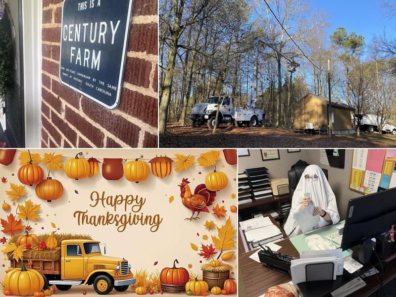 Herring Gutter & Insulation