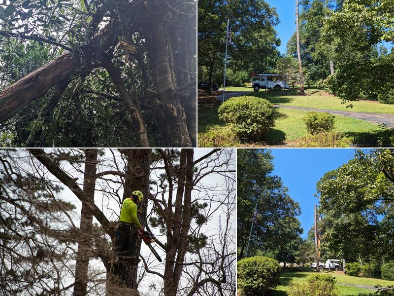 Cutting Edge Tree Care, LLC