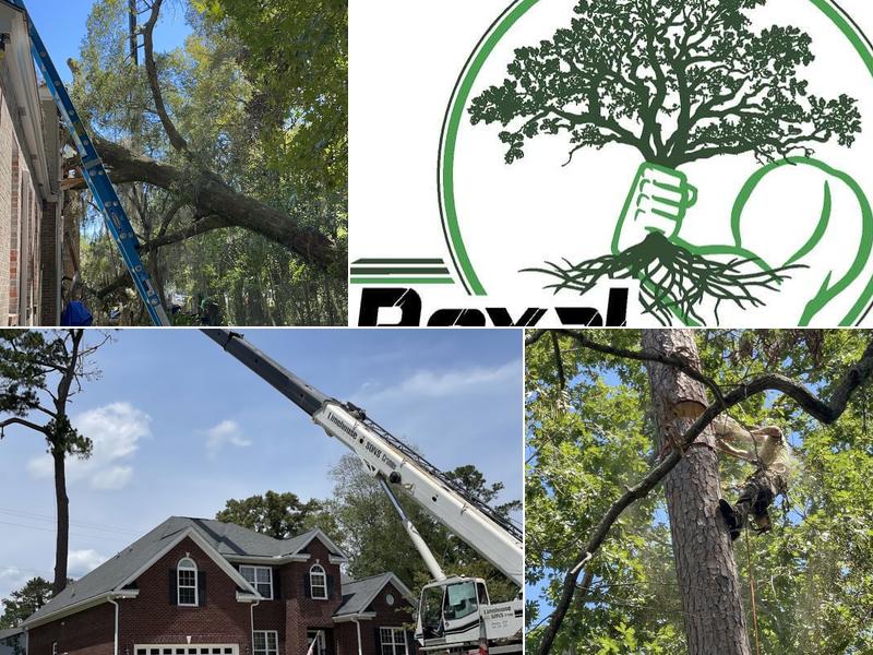 Royal Tree Service