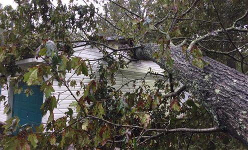 Tri-County Electric Co-Op Saint Matthews