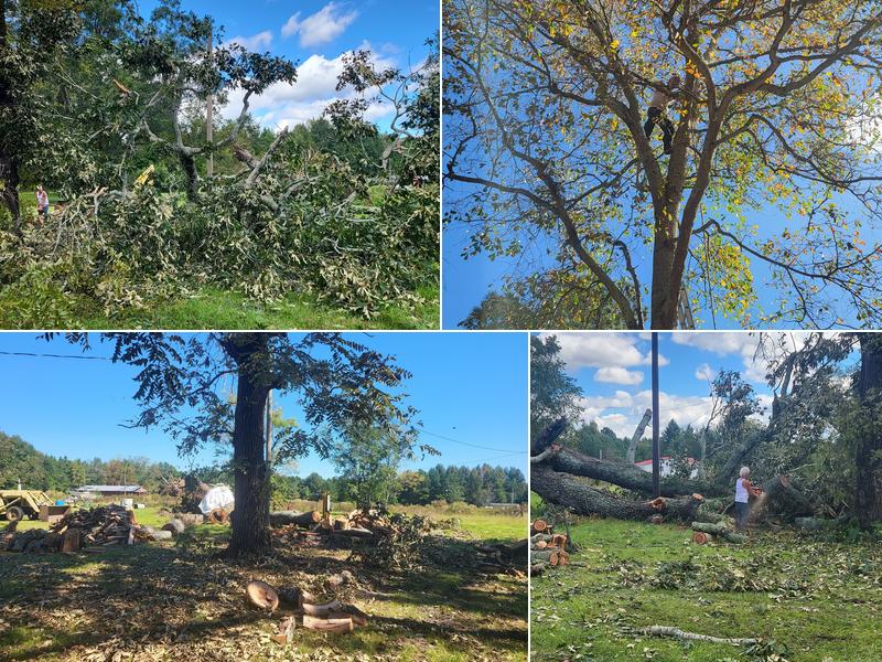 Robbie and Bobby services