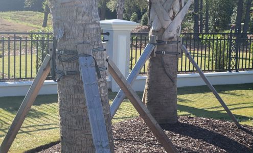 Carolina Landscape Group Inc 10172 Ocean Hwy, Pawleys Island South Carolina 29585