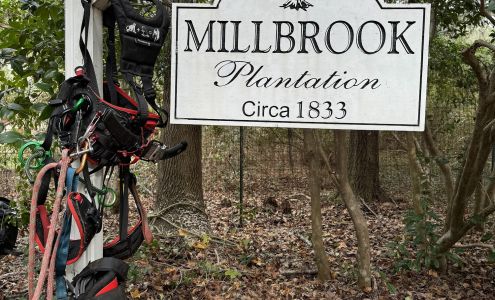 Delta Tree Care 8171 Ocean Hwy Unit D, Pawleys Island South Carolina 29585