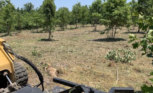 Strickland Land Services LLC Dennard