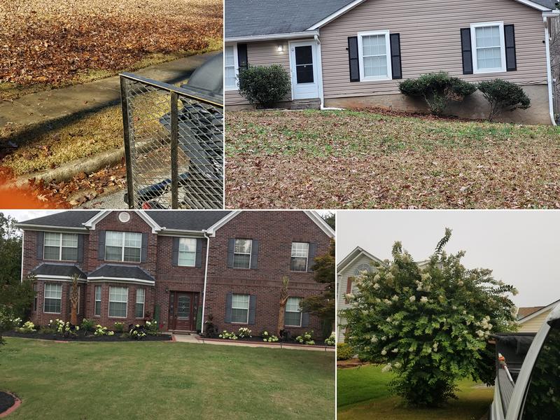 DC Landscaping Tree Cutting and Pressure Washing