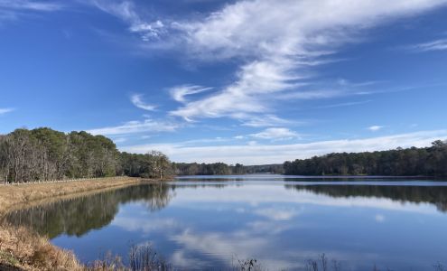 Kim Pate of Coldwell Banker KPDD