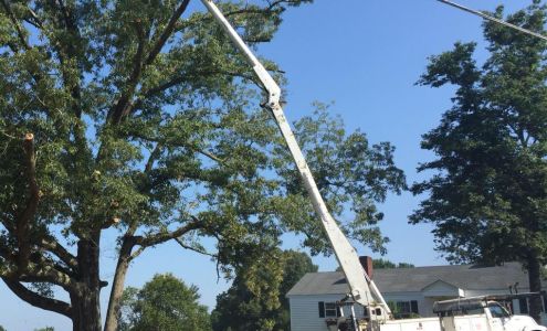 Cross Cut Tree Service 841 Littlejohn Rd, Jonesville South Carolina 29353