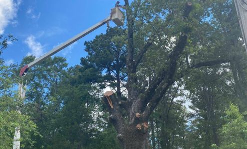 D & E Rivera Tree Service 2182 hwy 278 w, Wilmar Arkansas 71675