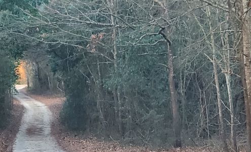 Southerland Tree Service Rio Dr, Darlington South Carolina 29532