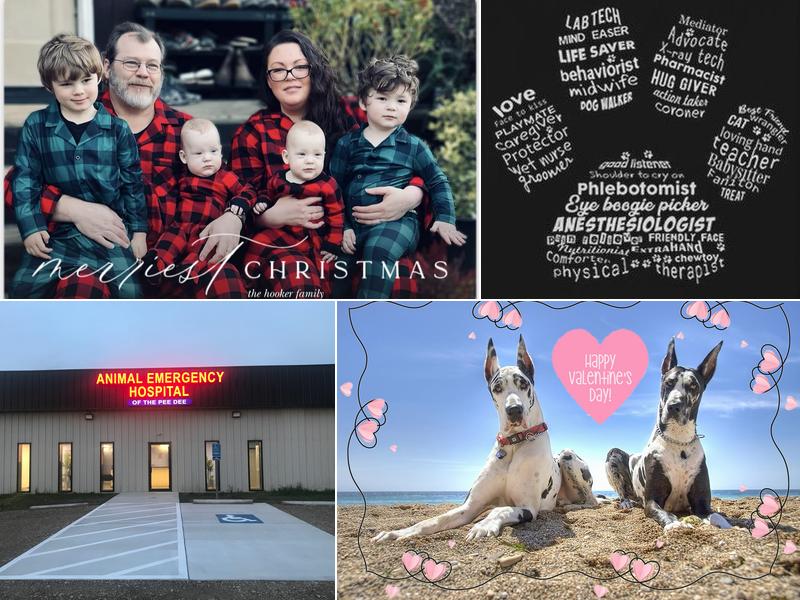 Kingston Electrical Services