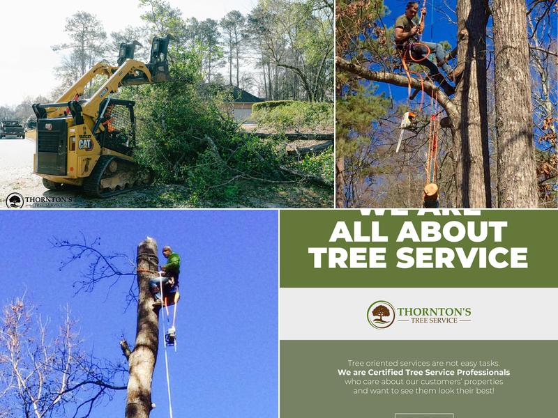 Thornton's Tree Services Macon, GA