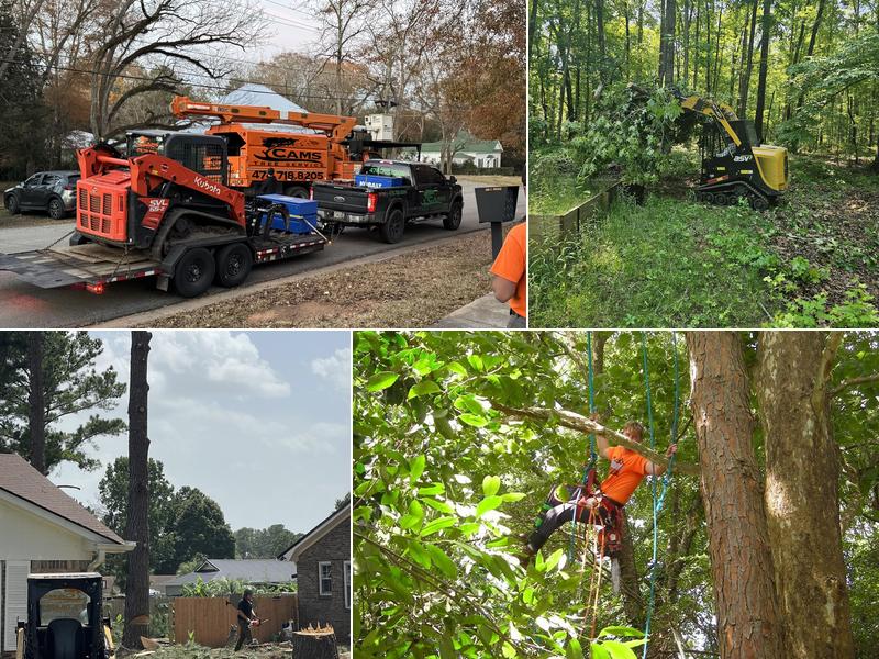 Cam's Tree Service