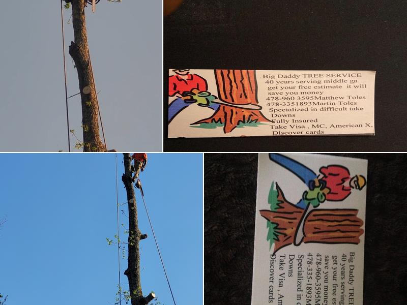 Big Daddy S Tree Service