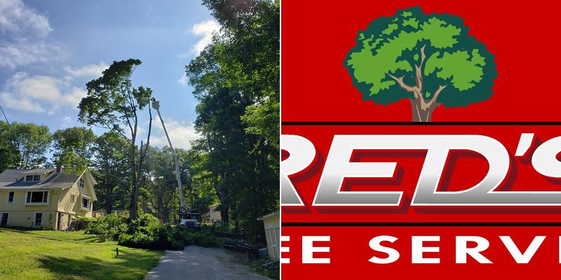 Red's Tree Service LLC