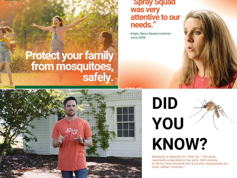 Spray Squad Pest Control