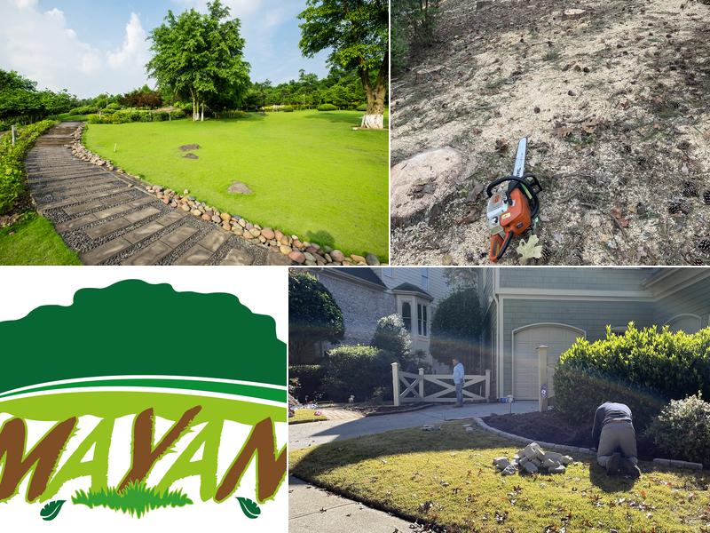 Mayan Tree Services