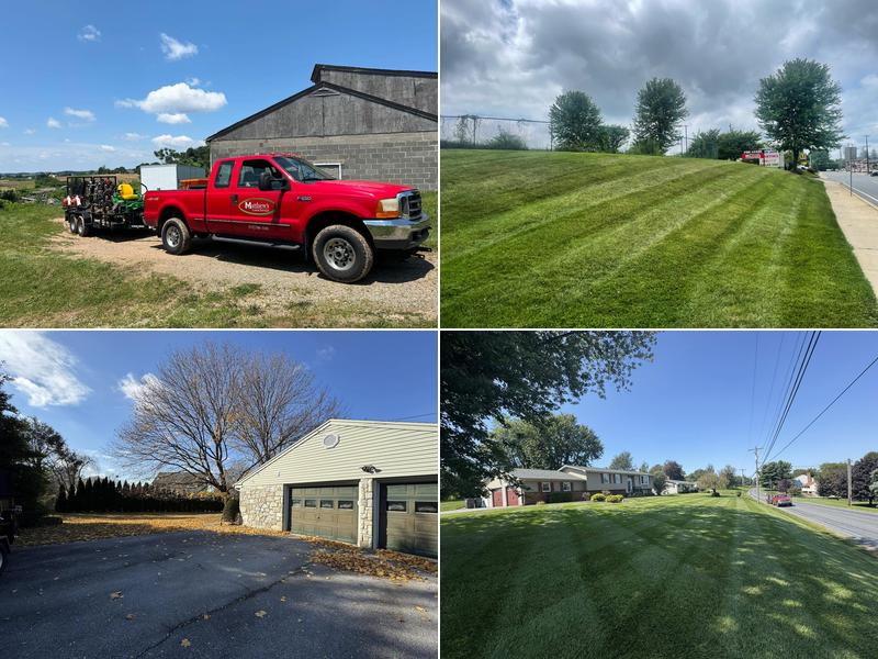 Matthew's Lawn Service LLC