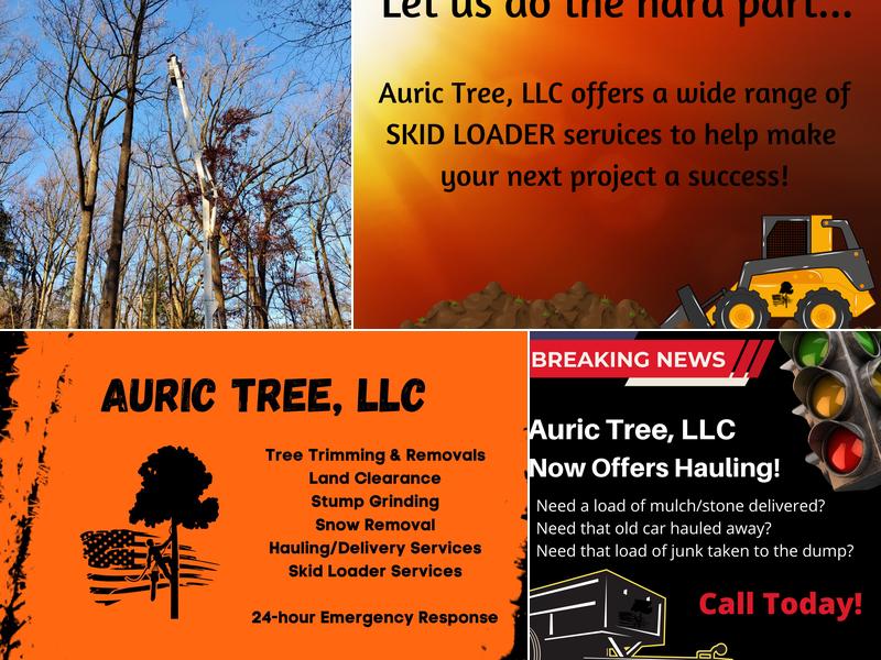 Auric Tree, LLC