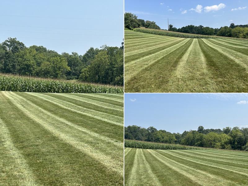 Replenish Lawn Care LLC