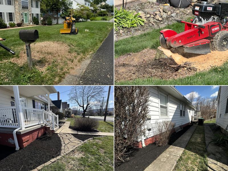 Boyer Tree & Lawn Services