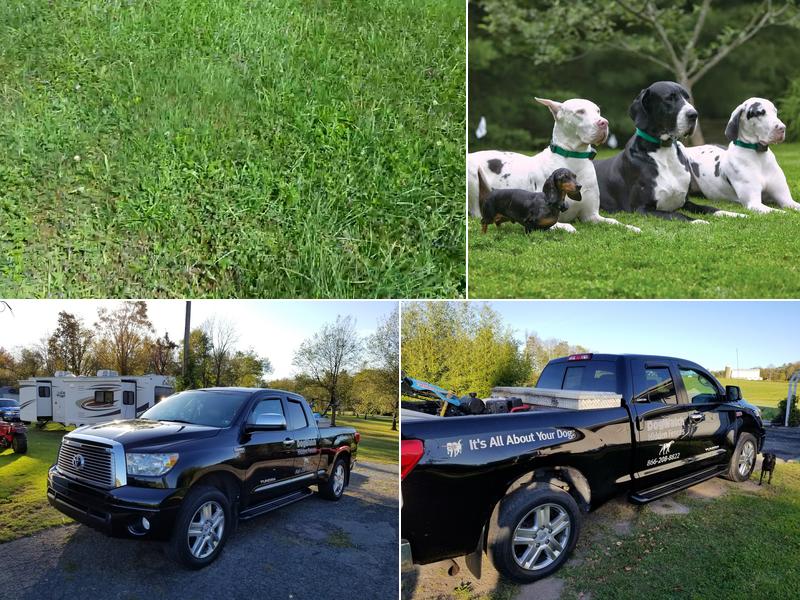 DogWatch of the Endless Mountains