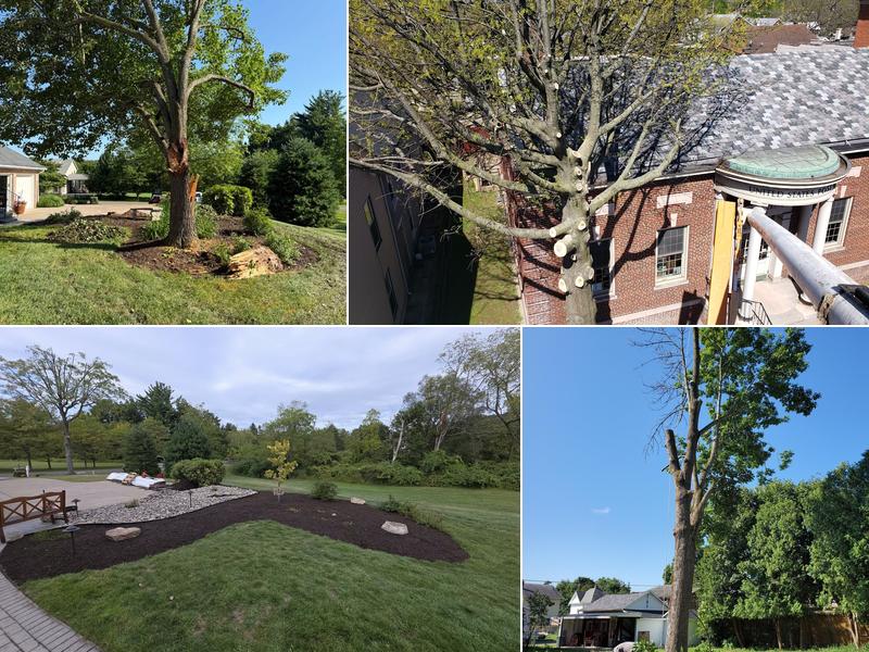 Kennedy Tree Service and Outdoor Maintenance