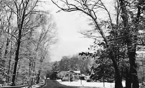 All The Above Contracting