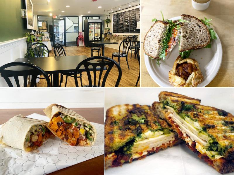 Wild Roots 306 King St, Northampton