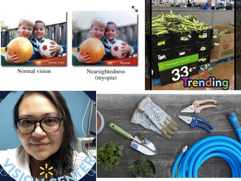 Walmart House Cleaning Services