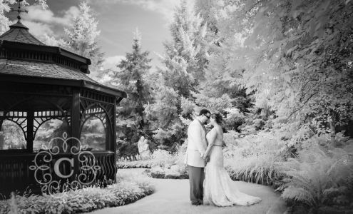 Carina Photographics