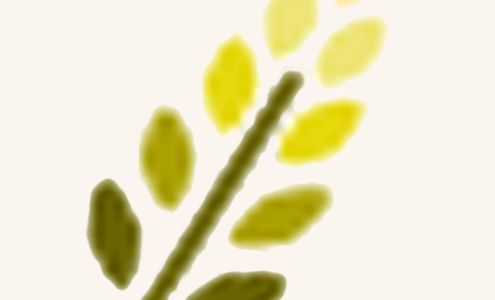 Cardy Group Home Care