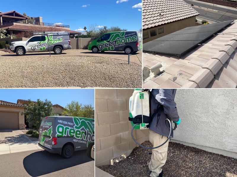 Green Home Pest Control