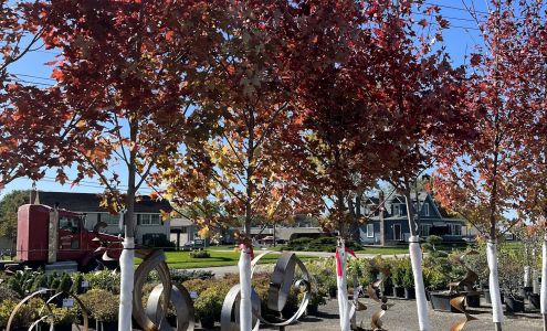 Anne's Garden Center Dixon