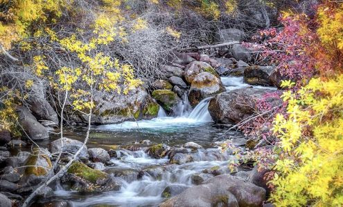 Jeannie Jay Photography