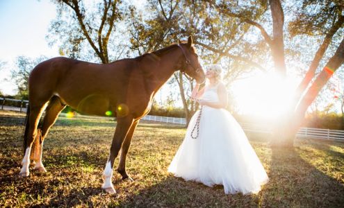 Claire Diana Photography