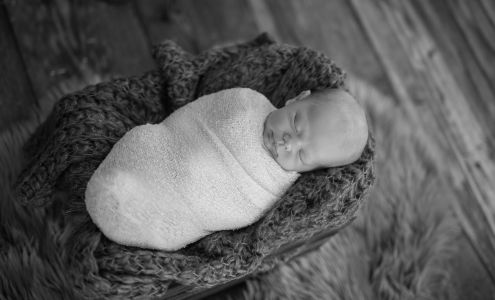 Elizabeth Olson Photography