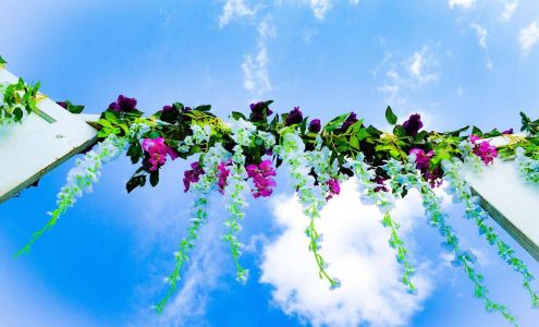 ultra violet photography