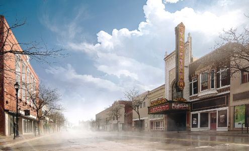 Fern the Photographer