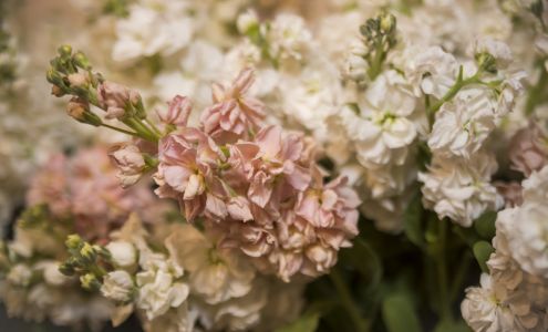 Photographic Imagery by Jo 111 S Washington St, Jerseyville Illinois 62052