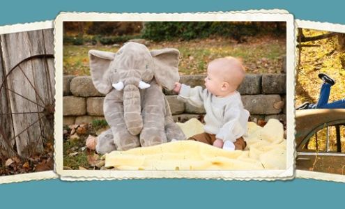 Susan Rea Photography 2670 Goodluck Beaumont Rd, Edmonton Kentucky 42129