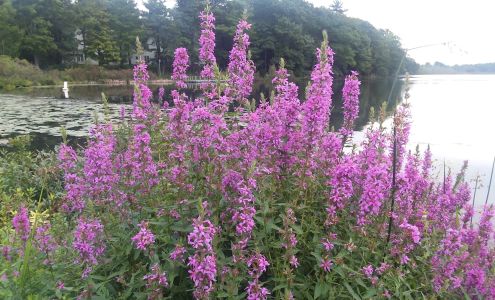 William Wilson's Photography